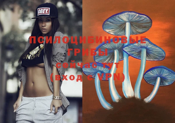 каннабис Белокуриха
