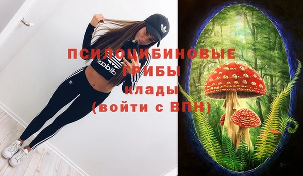 твердый Беломорск