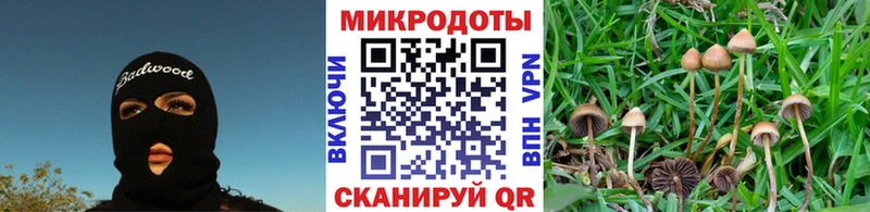 Галлюциногенные грибы Cubensis  Малоярославец 