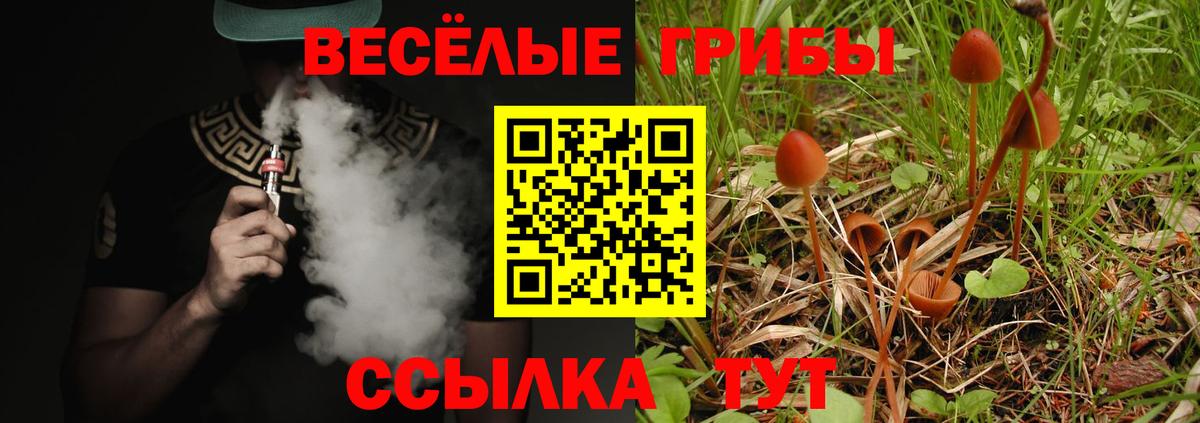 Малоярославец  Псилоцибиновые грибы мухоморы  Вход с VPN  Псилоцибиновые грибы Magic Shrooms 